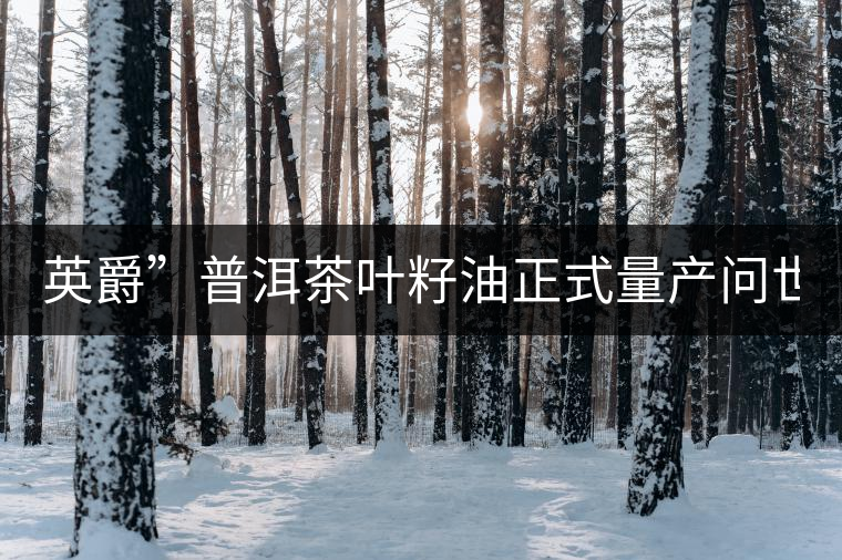 英爵”普洱茶葉籽油正式量產(chǎn)問(wèn)世。