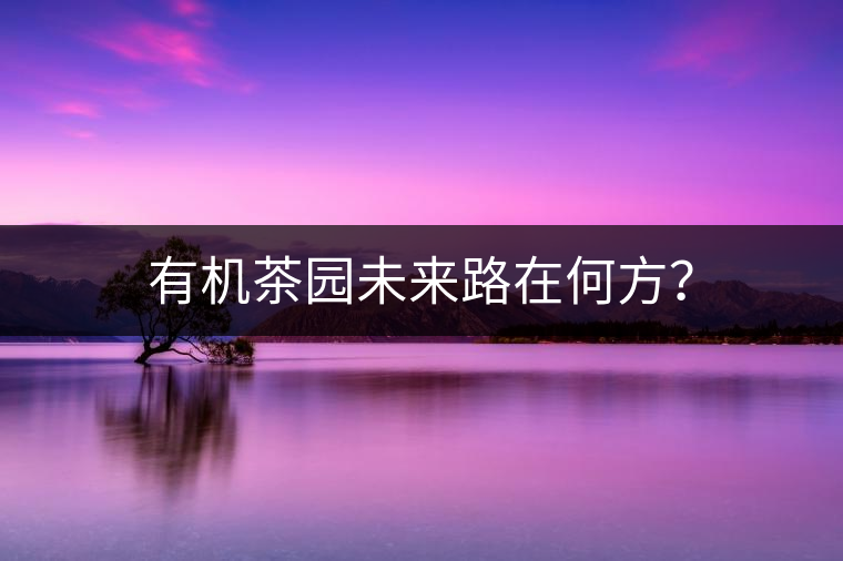 有機(jī)茶園未來路在何方？