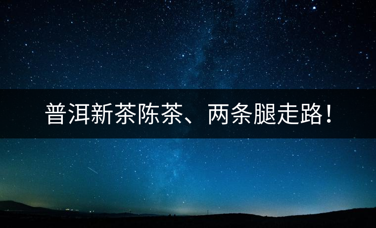 普洱新茶陳茶、兩條腿走路！