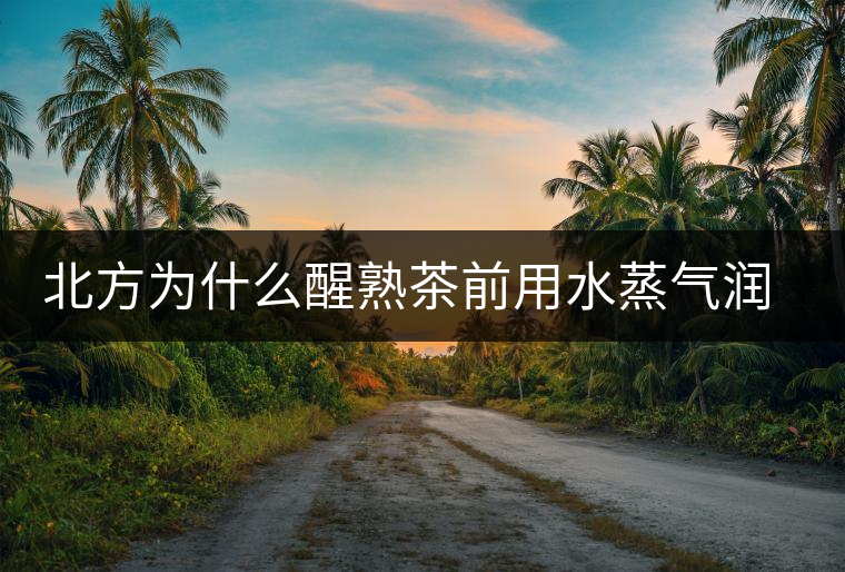 北方為什么醒熟茶前用水蒸氣潤一下？有何用處？