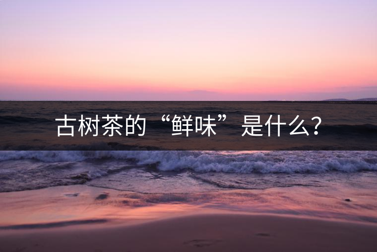 古樹茶的“鮮味”是什么？