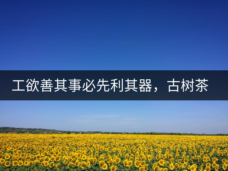 工欲善其事必先利其器，古樹(shù)茶用什么茶器最好？