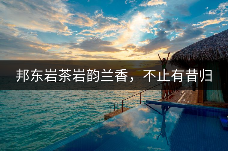 邦東巖茶巖韻蘭香，不止有昔歸