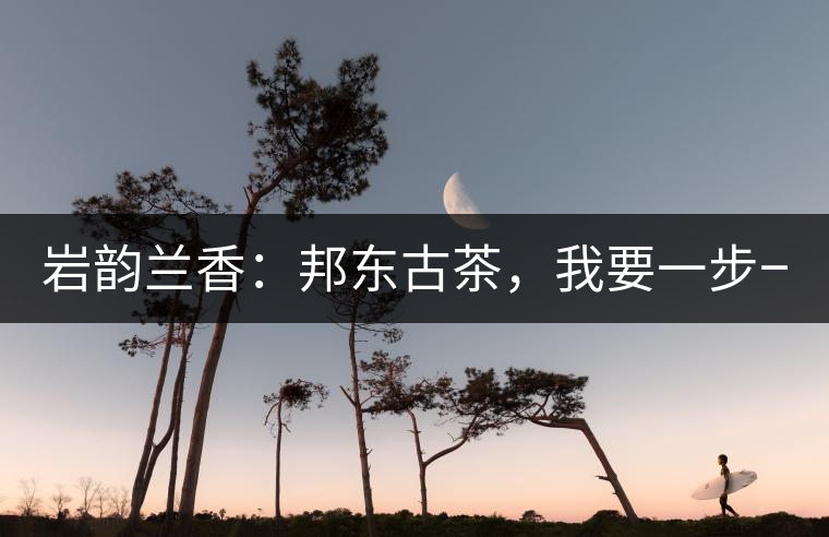 巖韻蘭香：邦東古茶，我要一步一步往上爬！