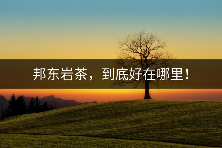 邦東巖茶，到底好在哪里！