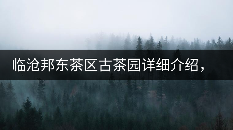 臨滄邦東茶區(qū)古茶園詳細(xì)介紹，邦東古樹(shù)茶特點(diǎn)