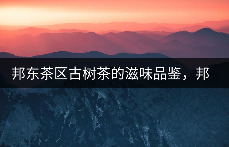 邦東茶區(qū)古樹茶的滋味品鑒，邦東普洱茶特點