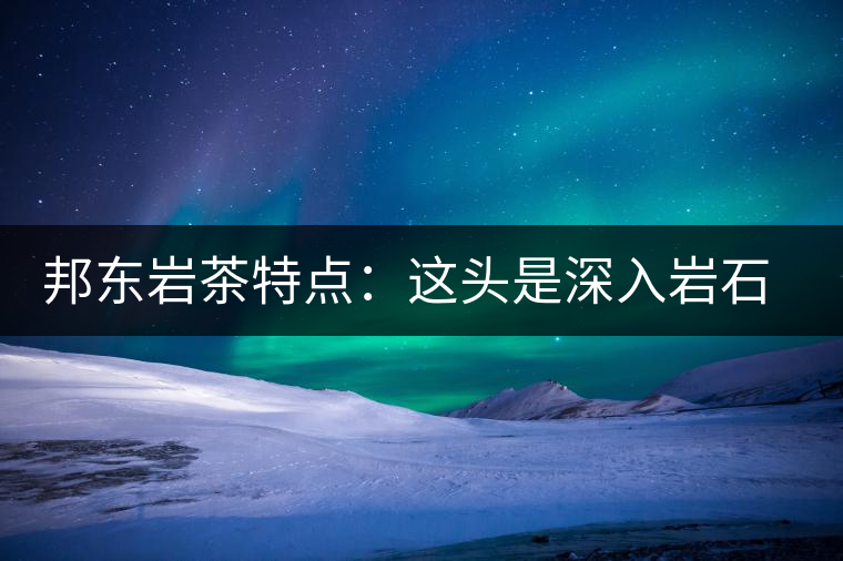 邦東巖茶特點(diǎn)：這頭是深入巖石的根，那頭是臨風(fēng)飄香的古韻