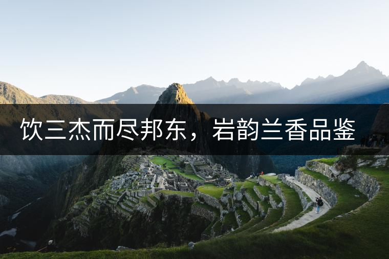 飲三杰而盡邦東，巖韻蘭香品鑒：生于山石上，韻味正當(dāng)