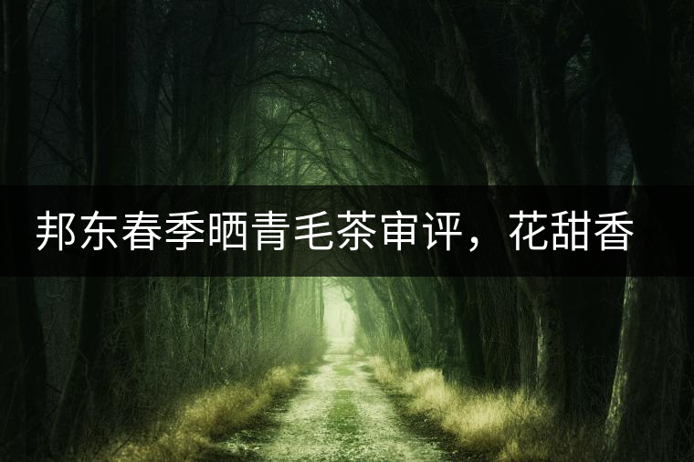 邦東春季曬青毛茶審評，花甜香高揚(yáng)甘爽潤滑