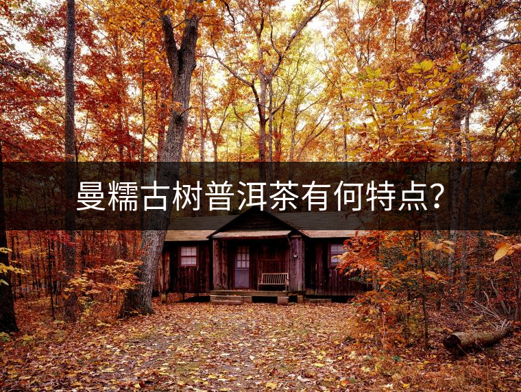 曼糯古樹普洱茶有何特點(diǎn)？