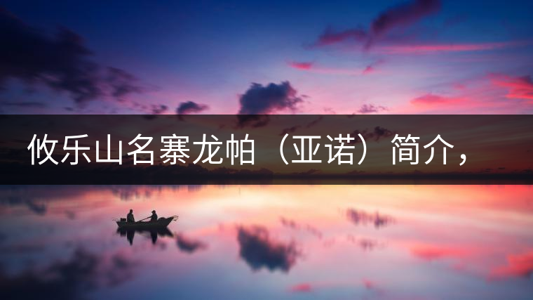攸樂山名寨龍帕（亞諾）簡介，亞諾古樹茶特點(diǎn)