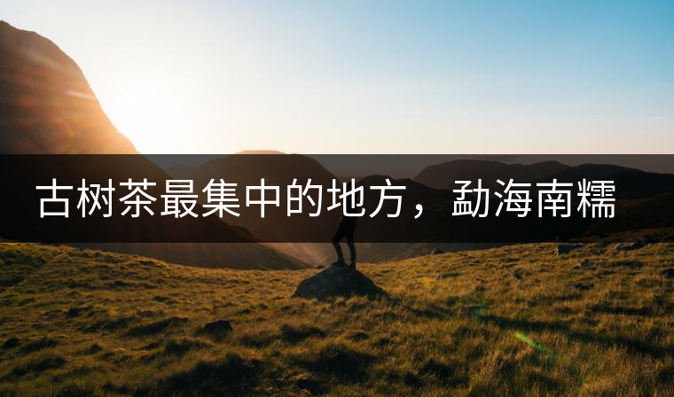 古樹茶最集中的地方，勐海南糯山古茶山介紹