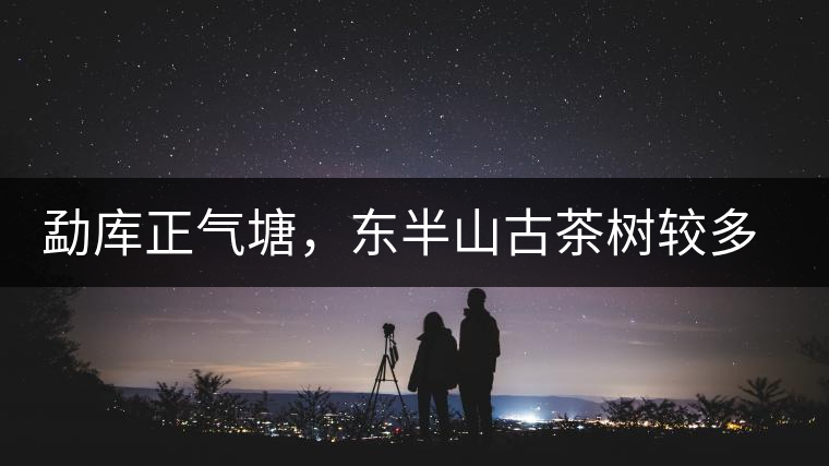 勐庫正氣塘，東半山古茶樹較多的寨子