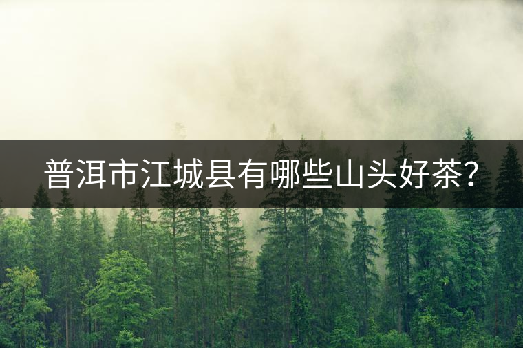 普洱市江城縣有哪些山頭好茶？