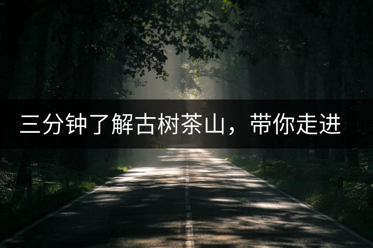 三分鐘了解古樹(shù)茶山，帶你走進(jìn)西蒙佛殿山