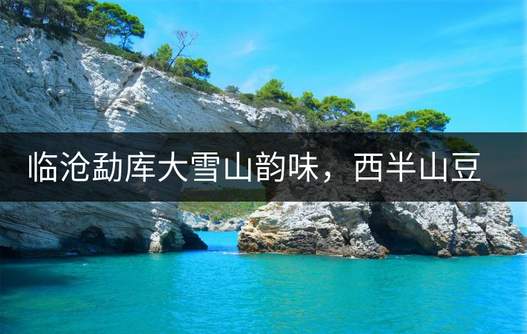 臨滄勐庫大雪山韻味，西半山豆腐寨古樹茶