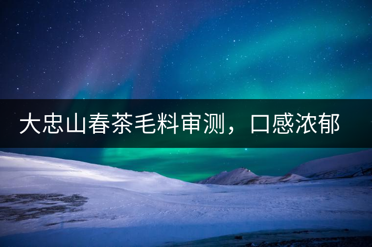 大忠山春茶毛料審測，口感濃郁花香與甜潤口感相得益彰