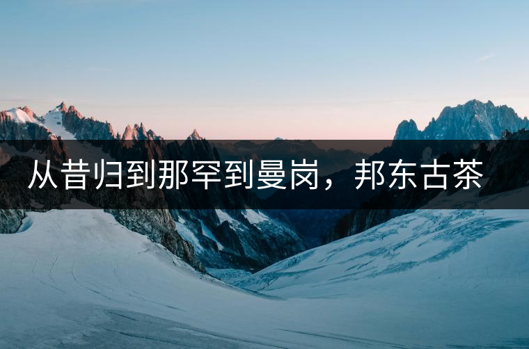 從昔歸到那罕到曼崗，邦東古茶藏著一條規(guī)律！