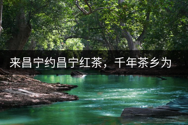 來昌寧約昌寧紅茶，千年茶鄉(xiāng)為您開啟生態(tài)之旅