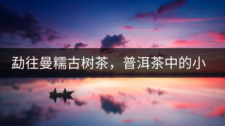 勐往曼糯古樹茶，普洱茶中的小班章