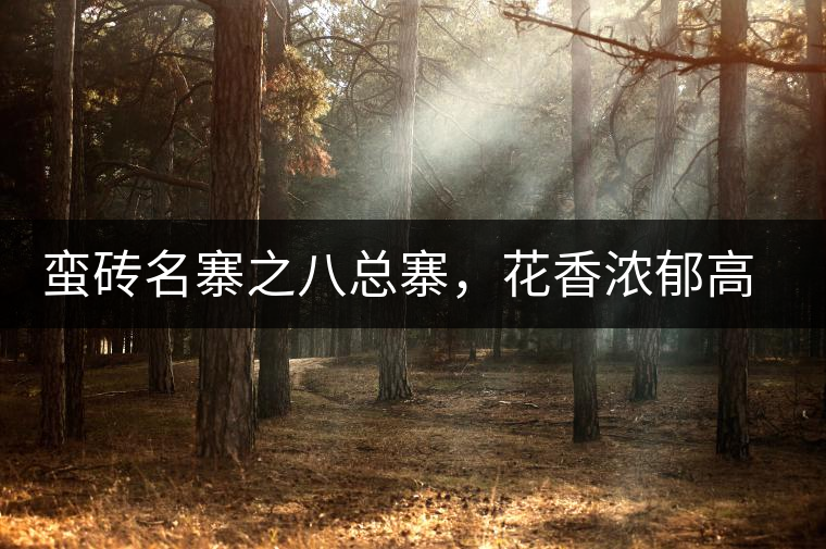 蠻磚名寨之八總寨，花香濃郁高揚