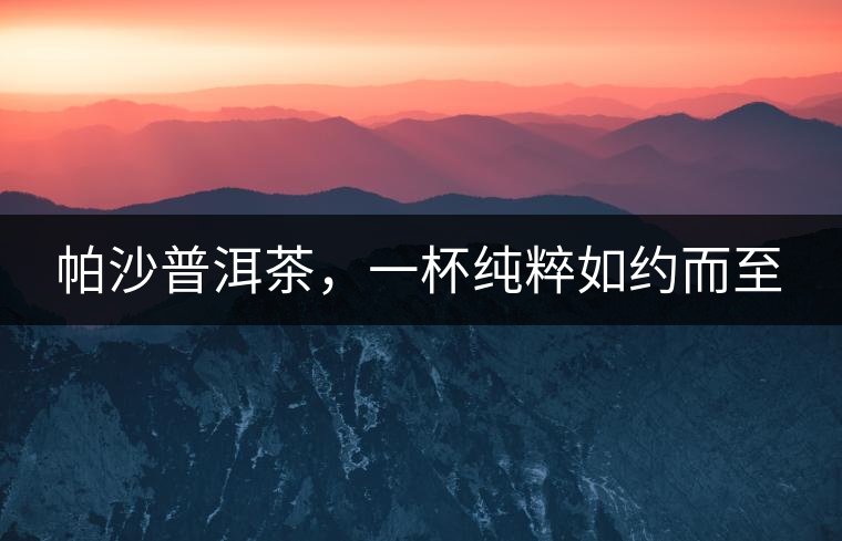 帕沙普洱茶，一杯純粹如約而至