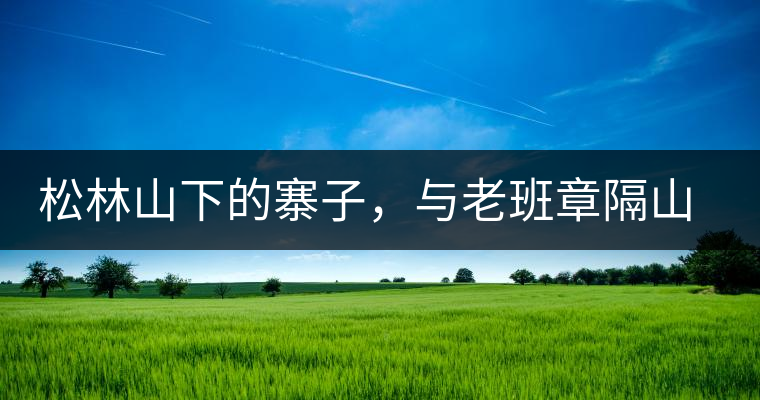 松林山下的寨子，與老班章隔山相望的廣別老寨