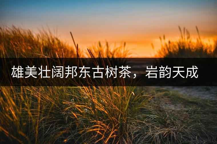 雄美壯闊邦東古樹茶，巖韻天成甘香鮮靈