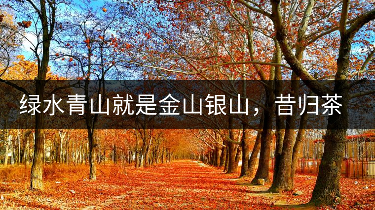 綠水青山就是金山銀山，昔歸茶農(nóng)唱著“茶歌”奔小康