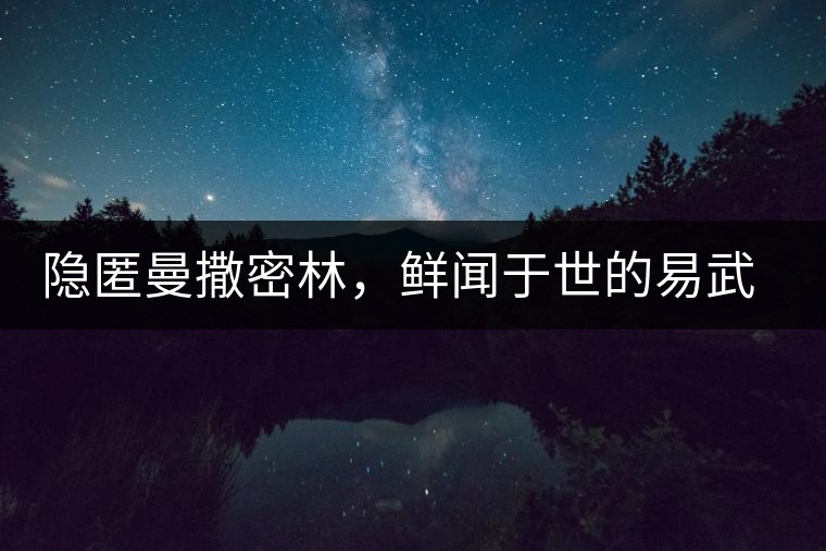 隱匿曼撒密林，鮮聞于世的易武一扇磨古樹茶