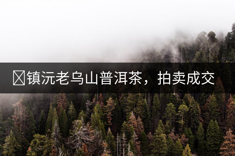 ?鎮(zhèn)沅老烏山普洱茶，拍賣成交價(jià)再創(chuàng)新高