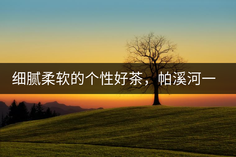 細(xì)膩柔軟的個(gè)性好茶，帕溪河一扇磨古樹茶