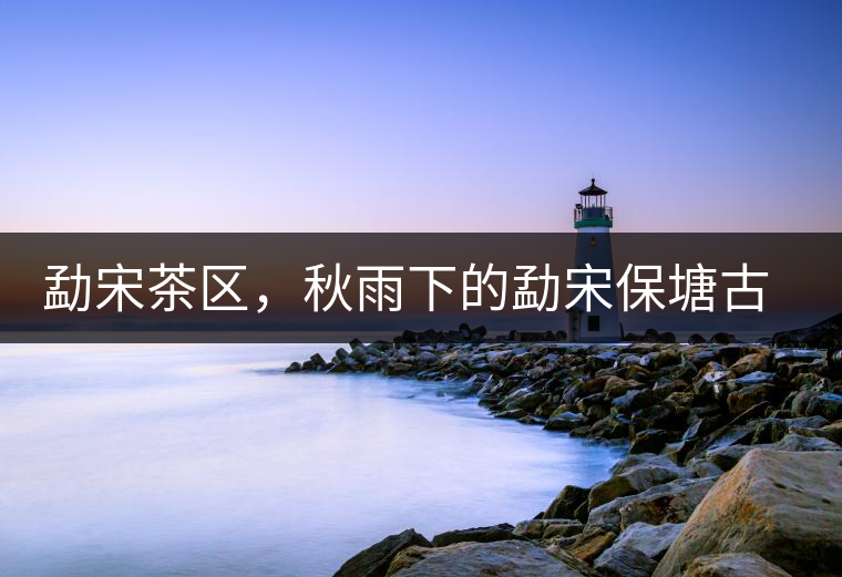 勐宋茶區(qū)，秋雨下的勐宋保塘古茶園