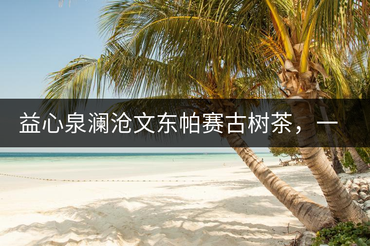 益心泉瀾滄文東帕賽古樹茶，一山茶兩岸香