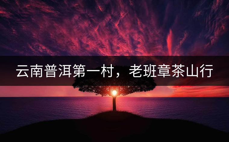 云南普洱第一村，老班章茶山行