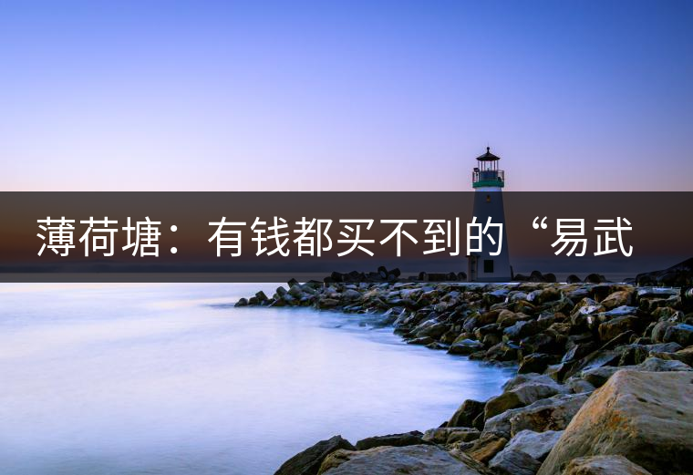 薄荷塘：有錢都買不到的“易武貴胄”，卓爾不群，無茶可及