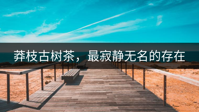 莽枝古樹茶，最寂靜無名的存在