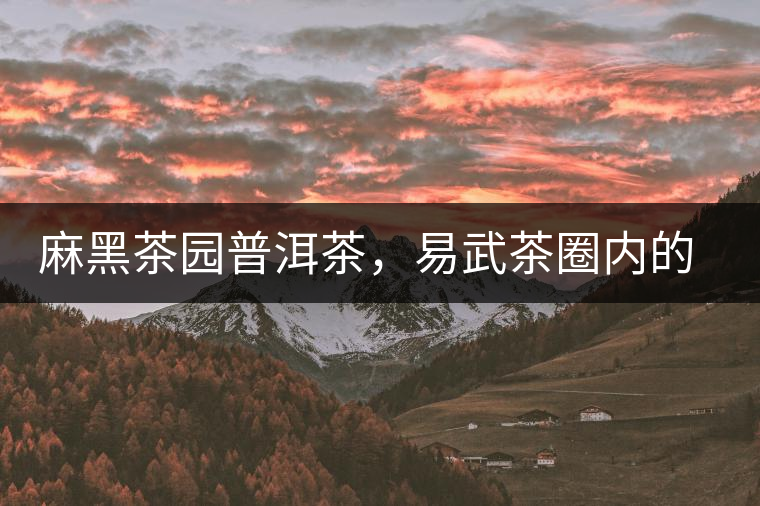 麻黑茶園普洱茶，易武茶圈內(nèi)的翹楚