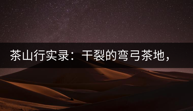 茶山行實(shí)錄：干裂的彎弓茶地，干旱減產(chǎn)已成定局