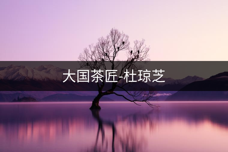 大國(guó)茶匠-杜瓊芝