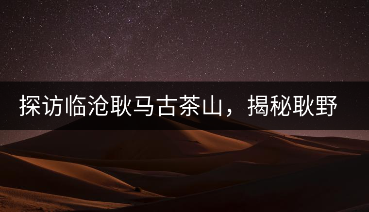 探訪臨滄耿馬古茶山，揭秘耿野生古茶樹群落