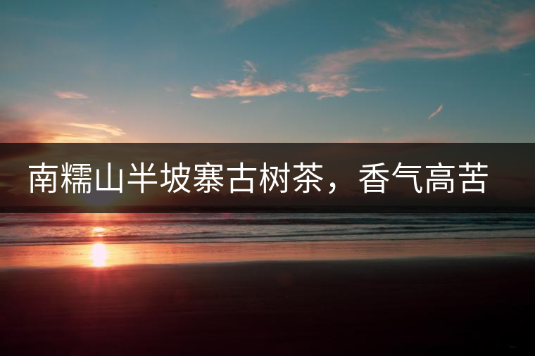 南糯山半坡寨古樹茶，香氣高苦味淡甜味重