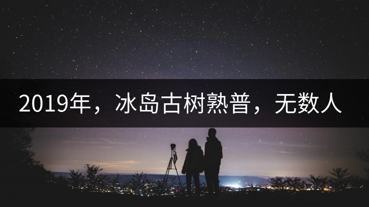 2019年，冰島古樹熟普，無數(shù)人在尋找