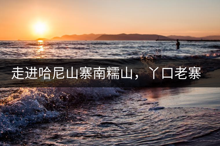 走進(jìn)哈尼山寨南糯山，丫口老寨普洱茶特點(diǎn)