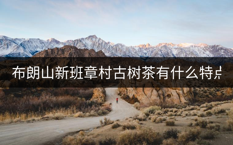 布朗山新班章村古樹茶有什么特點？