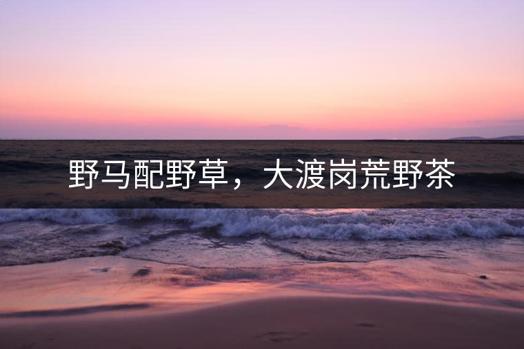 野馬配野草，大渡崗荒野茶
