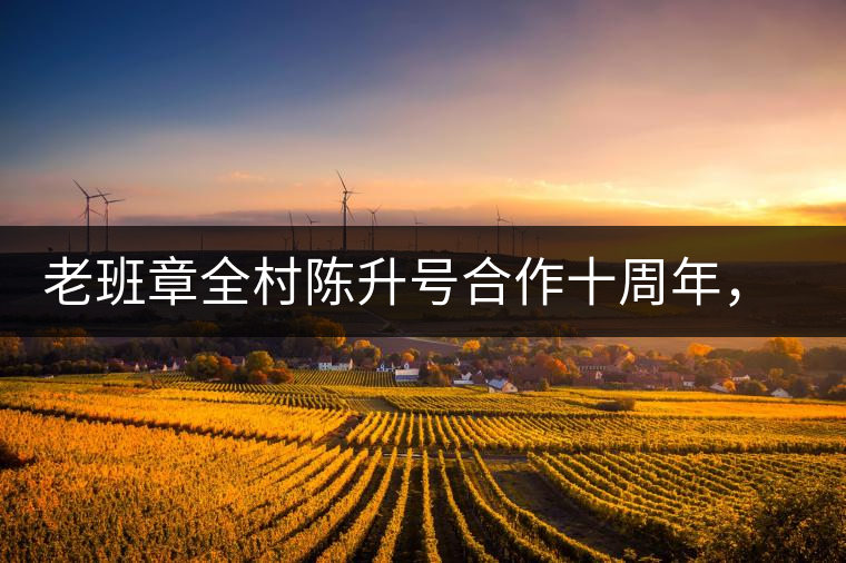 老班章全村陳升號合作十周年，贈送千兩百家茶