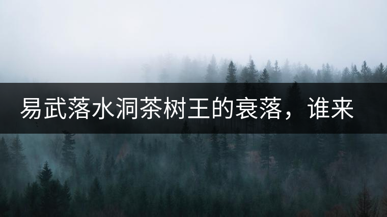 易武落水洞茶樹王的衰落，誰來關(guān)注古樹茶？