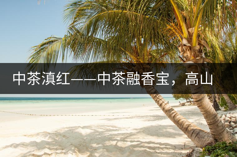 中茶滇紅——中茶融香寶，高山烏龍茶